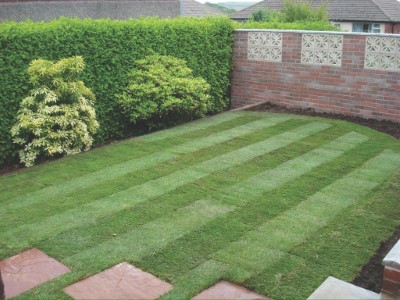 New Lawn in Croydon