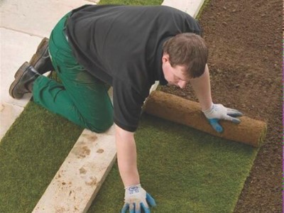 Gardening in Croydon